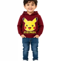 digimno-maroon-boys-hoodie-front